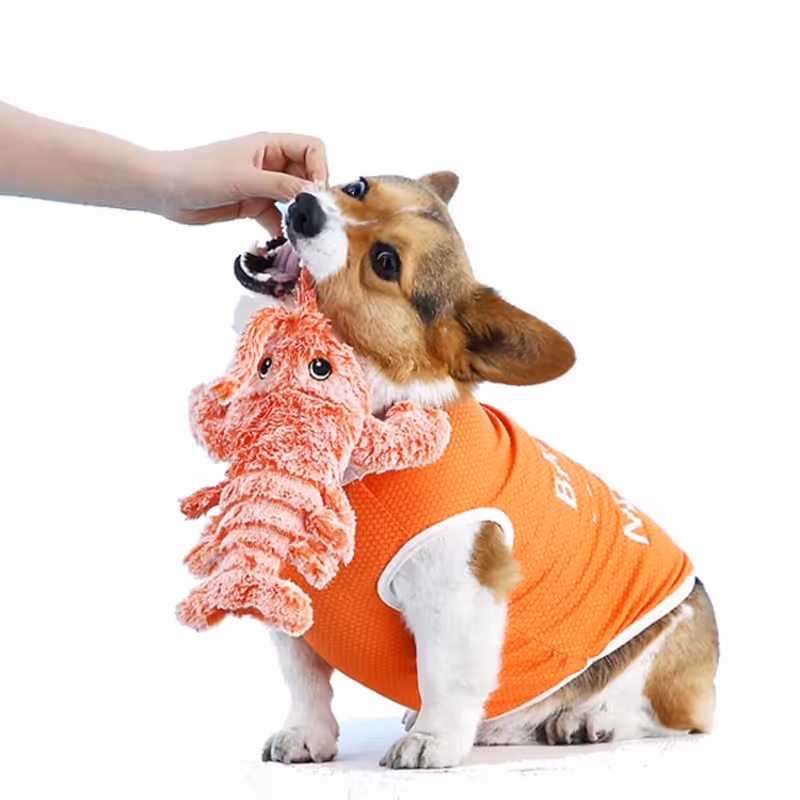 Interactive cat and dog toys